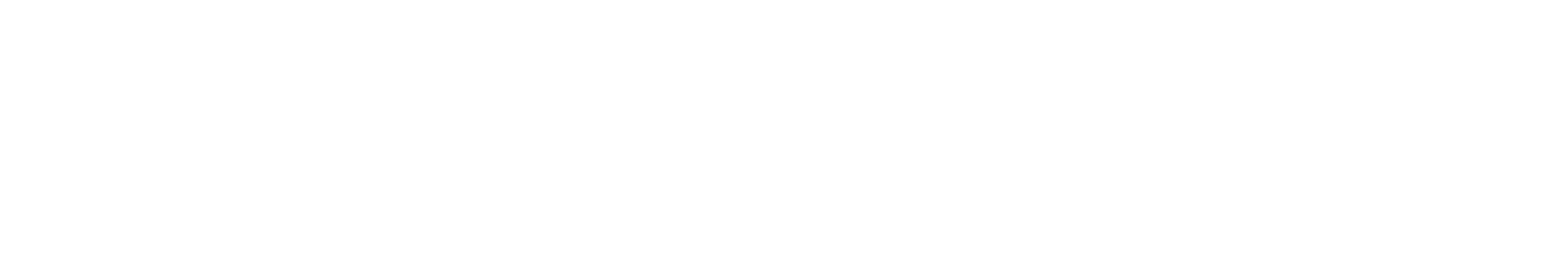 Spacetek logo white